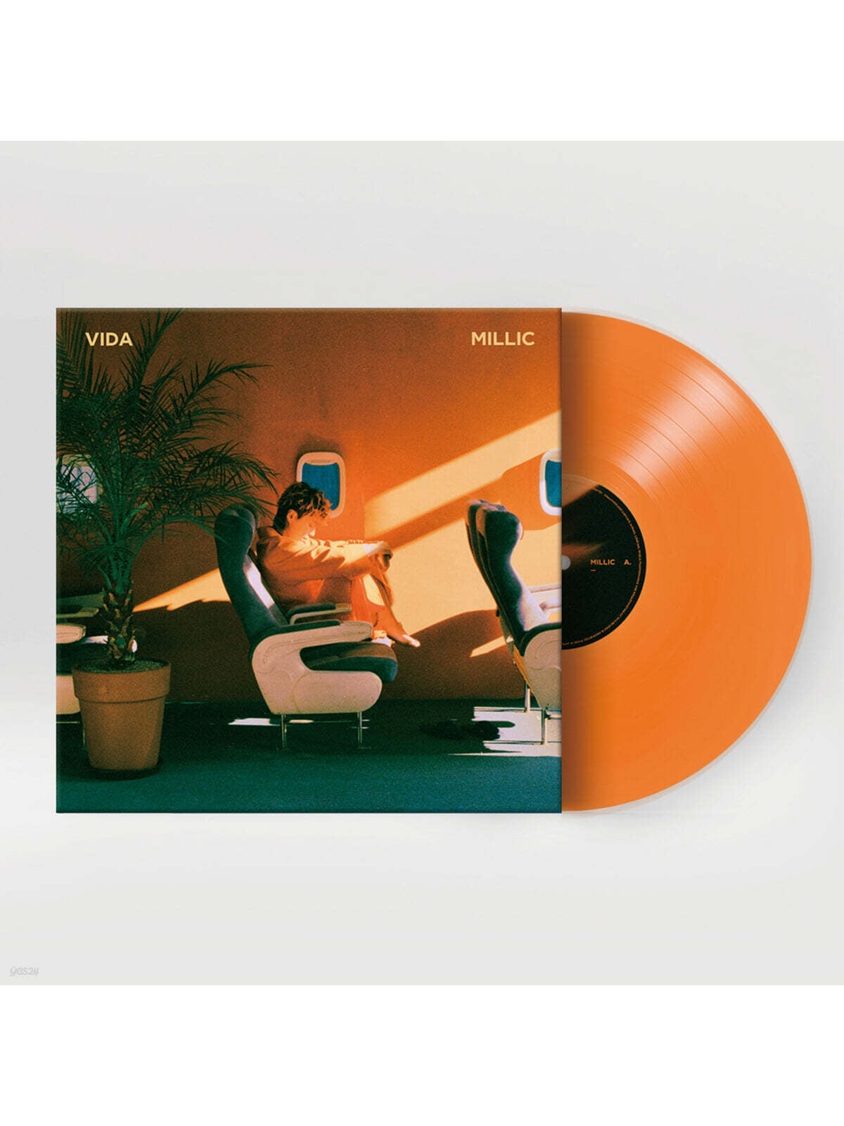 MILLIC/《VIDA》橘膠