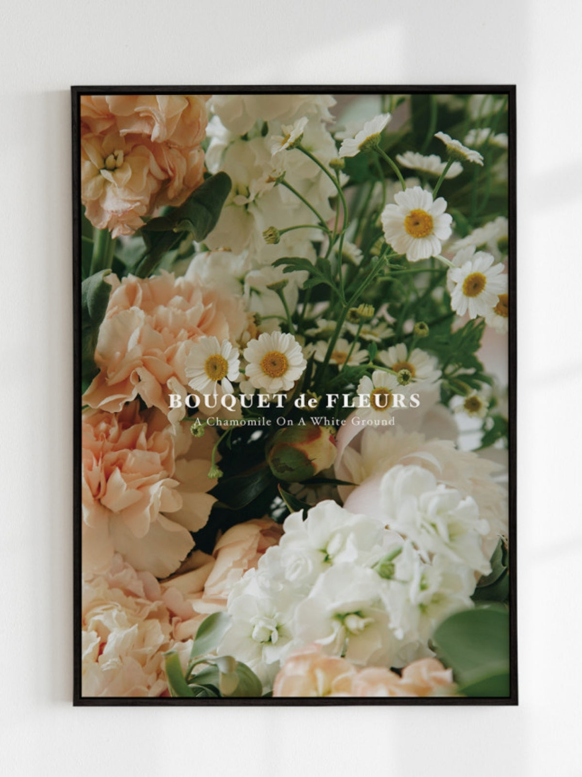 Chamomile 花卉海報
